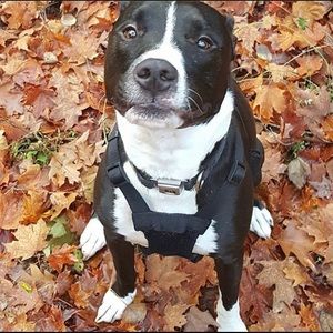 Meet your Posher, Ashlyn